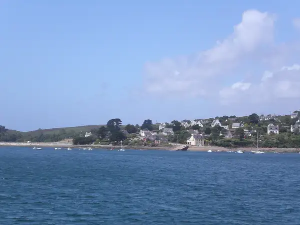 Monte Escalier 29 Installateur Monte Escalier Roscanvel